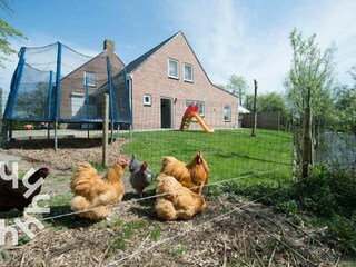 Vakantiehuis Grijpskerke Omgeving 22