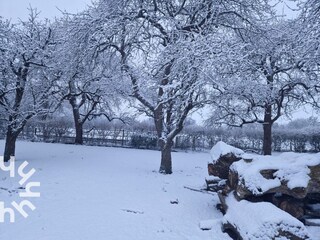Ferienhaus Grijpskerke Umgebung 24