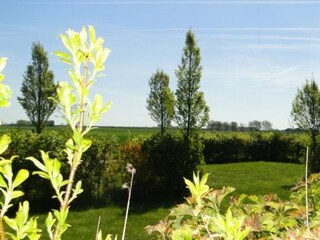 Casa per le vacanze Kattendijke Ambiente 14