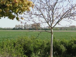 Casa per le vacanze Kattendijke Ambiente 16