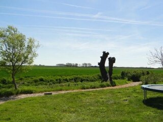 Casa per le vacanze Kattendijke Ambiente 19