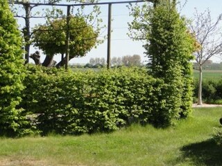 Casa per le vacanze Kattendijke Ambiente 20