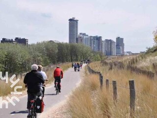 Vakantiehuis Dishoek Omgeving 15