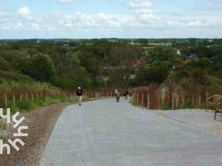 Vakantiehuis Dishoek Omgeving 17