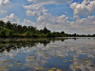 Vakantiehuis Loosdrecht Omgeving 20