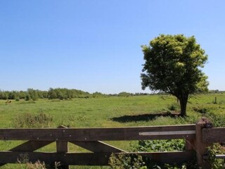 Casa per le vacanze Loosdrecht Registrazione all'aperto 5