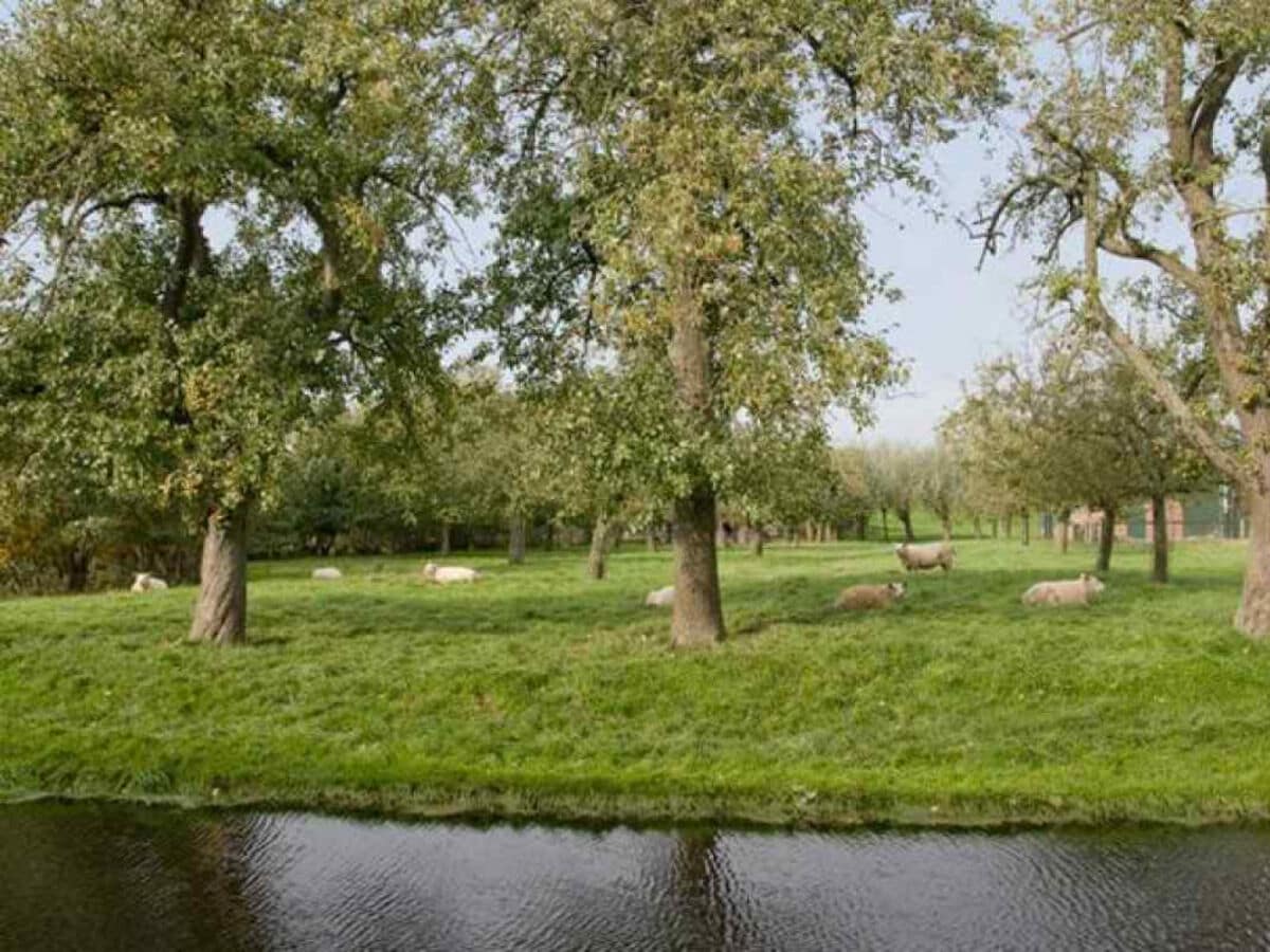 Ferienhaus Ouderkerk aan den IJssel Außenaufnahme 1