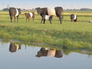 Casa per le vacanze Ouderkerk aan den IJssel Ambiente 21