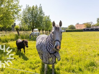 Ferienhaus Serooskerke Umgebung 16