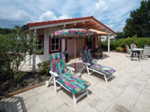 Ferienhaus Holiday house Sint-annaland - ZE476 - Sint-Annaland - image1