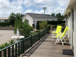 Ferienhaus Holiday house Sint-annaland - ZE998 - Sint-Annaland - image1