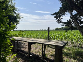 Vakantiehuis Gapinge Omgeving 12