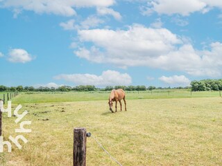 Casa per le vacanze Serooskerke Ambiente 16