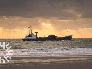 Vakantiehuis Westkapelle Omgeving 21