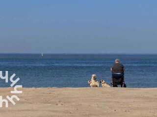 Casa per le vacanze Westkapelle Ambiente 21