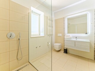 Villa Motovun Caratteristiche 19