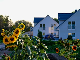 Casa per le vacanze Altwarp Registrazione all'aperto 3
