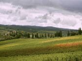 Apartamento de vacaciones Castellina in Chianti Grabación al aire libre 1