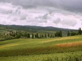 Ferienwohnung Castellina in Chianti Außenaufnahme 1