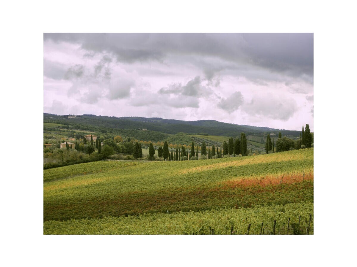 Appartamento per vacanze Castellina in Chianti Registrazione all'aperto 1