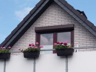 Blick zum Balkon