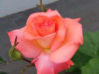 Wir freuen uns auf Sie!