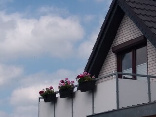 Blick ins Blaue