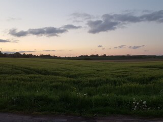 Abendstimmung