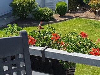 Blick vom Balkon zum Garten