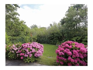 Casa per le vacanze Borkum Registrazione all'aperto 3