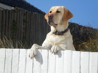 Casa per le vacanze Bergen aan Zee Ambiente 26