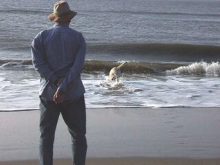 Casa per le vacanze Bergen aan Zee Ambiente 27