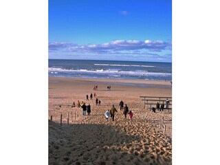 Casa per le vacanze Bergen aan Zee Ambiente 28