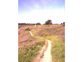 Casa per le vacanze Bergen aan Zee Ambiente 29