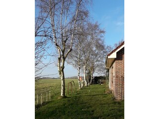 Casa de campo Neuwesteel Grabación al aire libre 3
