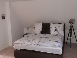 Casa de campo Neuwesteel Características 14