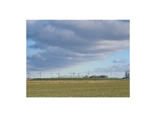 Vakantiehuisje Neuwesteel Omgeving 21