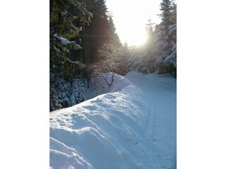 Winter Impressionen