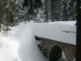 Winter Impressionen