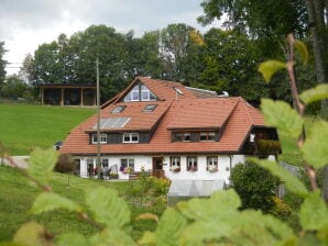 Bauernhof Büchele "Alpenblick in der Dachwohnung" - Dachsberg - image1