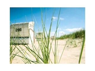 Ferienwohnung Glowe Umgebung 14