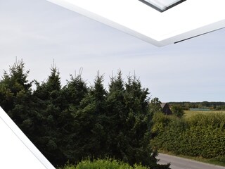 Blick aus dem Küchenfenster
