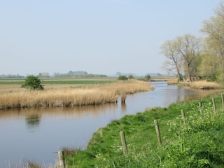 Polder Cadzand und Umgebung