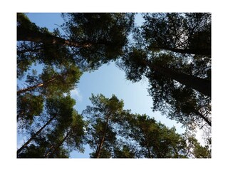 Ferienwohnung Rechlin Außenaufnahme 10