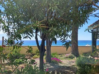 Villa Cipressa Außenaufnahme 5