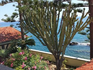 Villa Cipressa Außenaufnahme 8