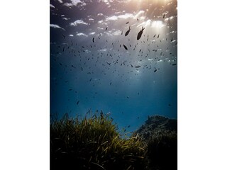 Villa Cipressa Außenaufnahme 14