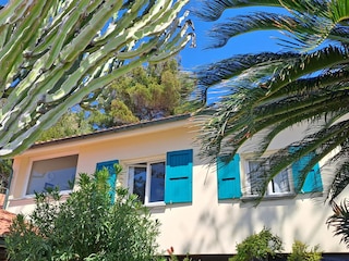Bedroom windows from outside
