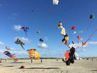 Drachenfest in St. Peter-Ording