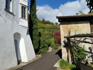 Appartamento per vacanze Marling Ambiente 36